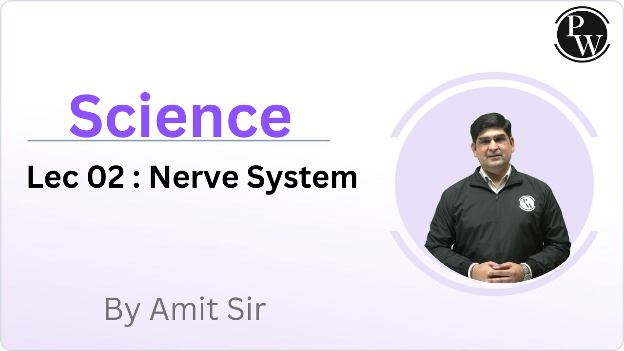 Science 02 : Nerve System