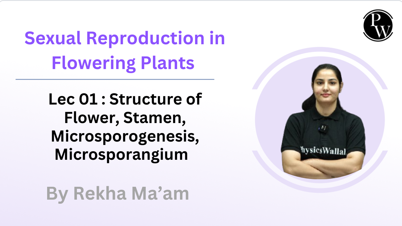Sexual Reproduction in Flowering Plants 01 : Structure of Flower || Stamen || Microsporogenesis || Microsporangium