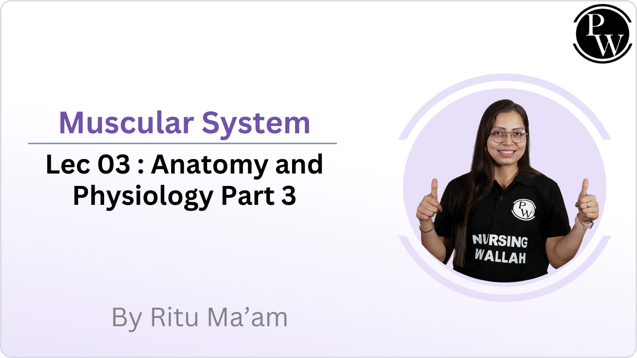 Muscular System 03 : Anatomy and Physiology (Part 3)