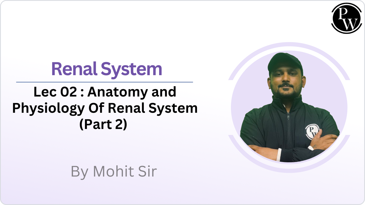 Renal System 02 : Anatomy and Physiology Of Renal System (Part 2)