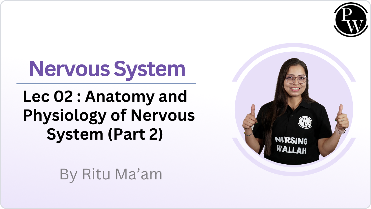 Nervous System 02: Anatomy and Physiology of Nervous System (Part 2)