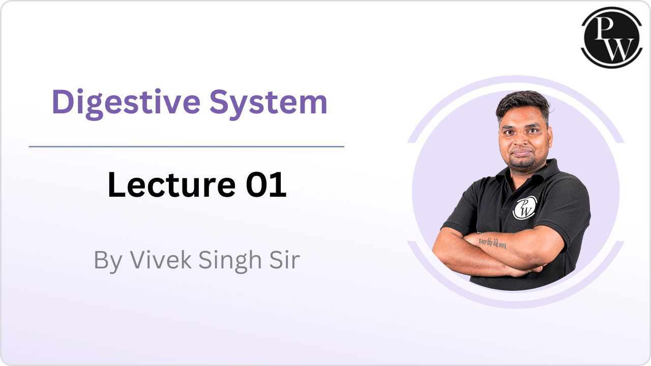 Digestive System : Lecture 01