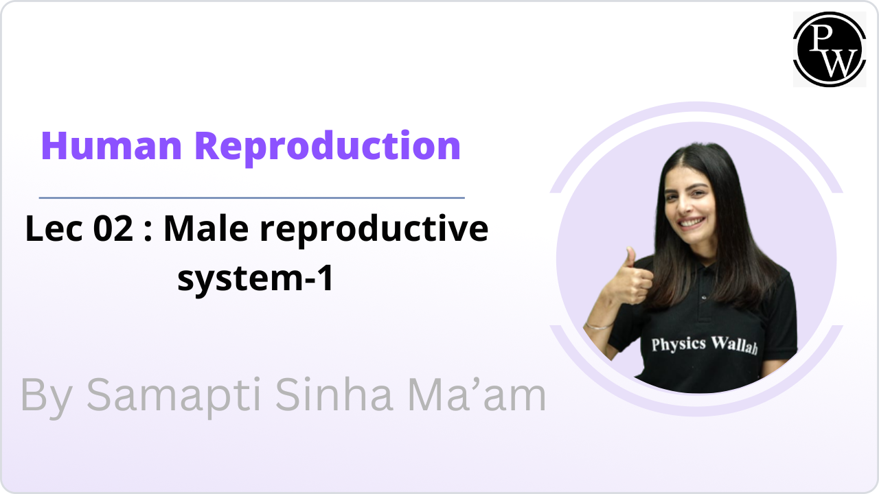 Human Reproduction 02 : Male reproductive system-1 