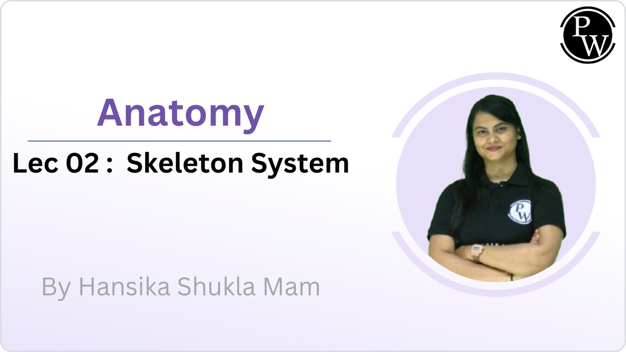 Skeleton System  02 