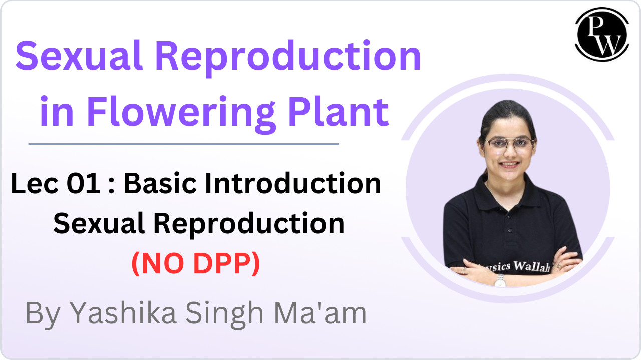 Sexual Reproduction in Flowering Plant 01 : Basic Introduction || Sexual Reproduction || NO DPP 