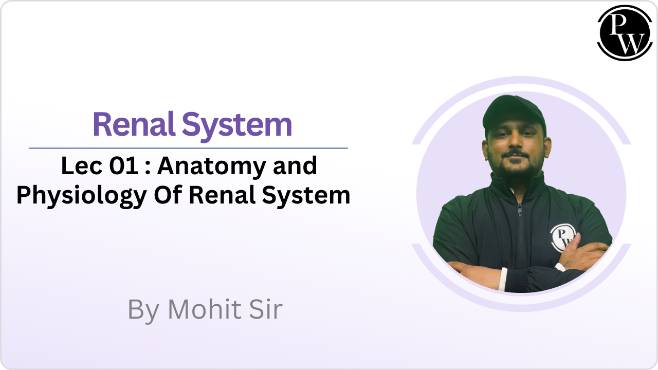 Renal System 01 : Anatomy and Physiology Of Renal System