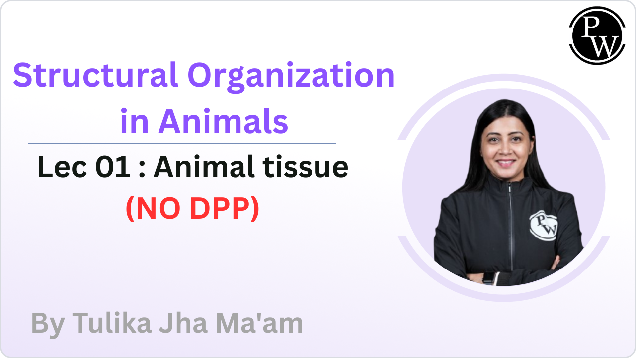 Structural Organization in Animals 01 : Animal tissue || NO DPP 