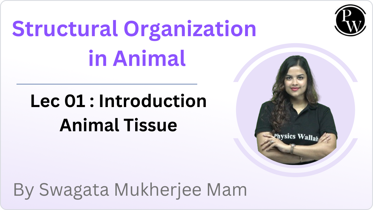 Structural Organization in Animals 01 : Introduction || Animal Tissue