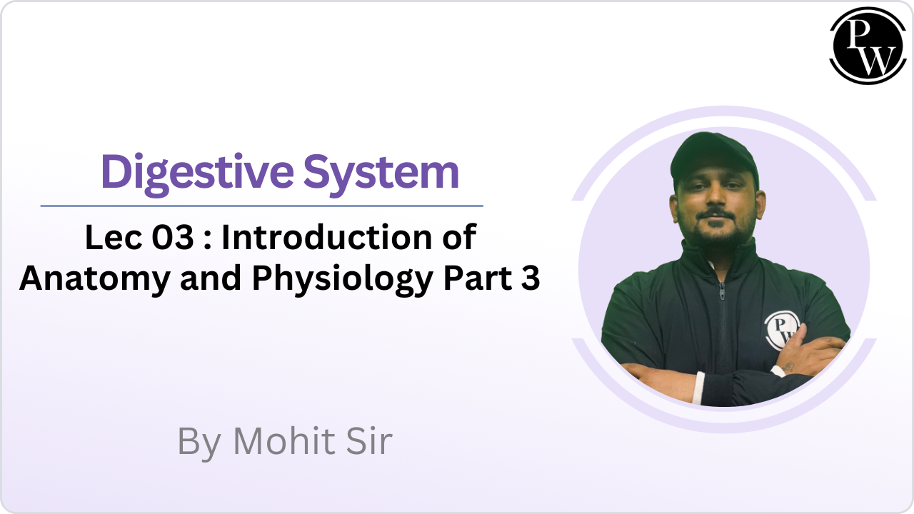 Digestive System 03 : Introduction of Anatomy and Physiology Part 3