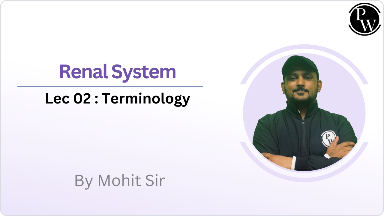 Renal System 02 : Terminology