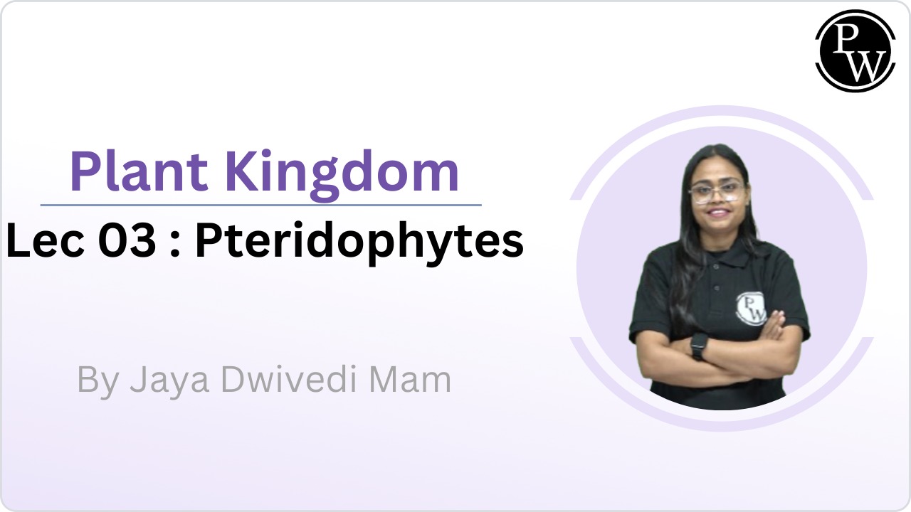 Plant Kingdom : Pteridophytes 03 