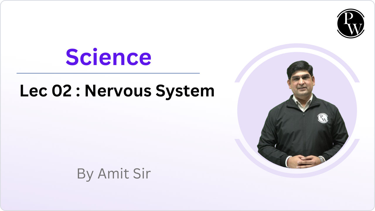 Science 02 : Nervous System