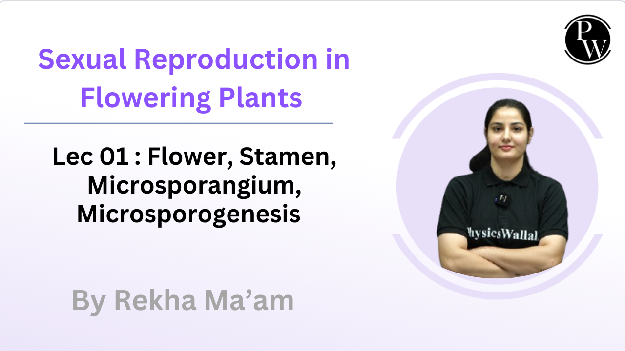 Sexual Reproduction in Flowering Plants 01 : Flower || Stamen, Microsporangium, Microsporogenesis