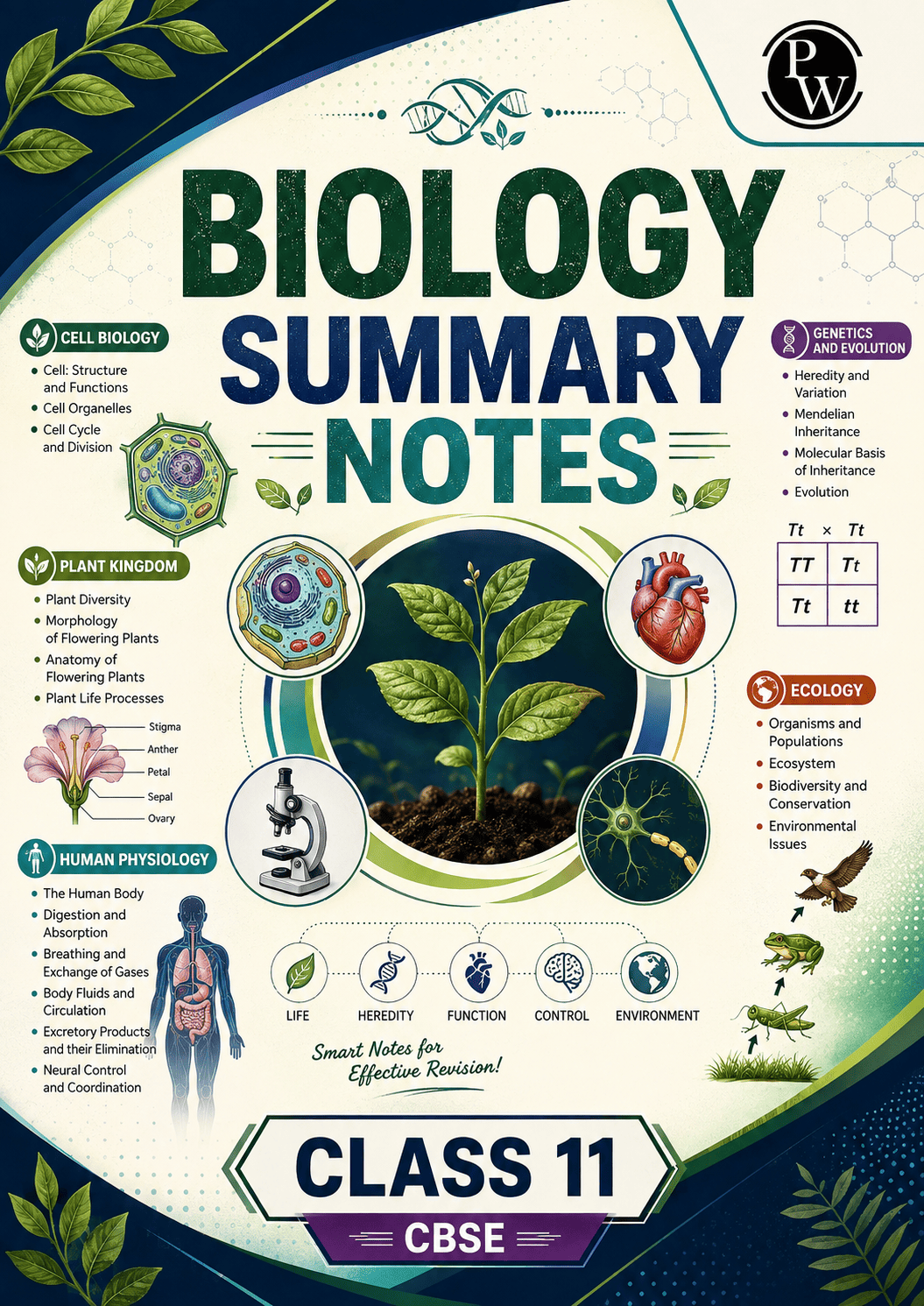 Biology Summary Notes for Class 11th