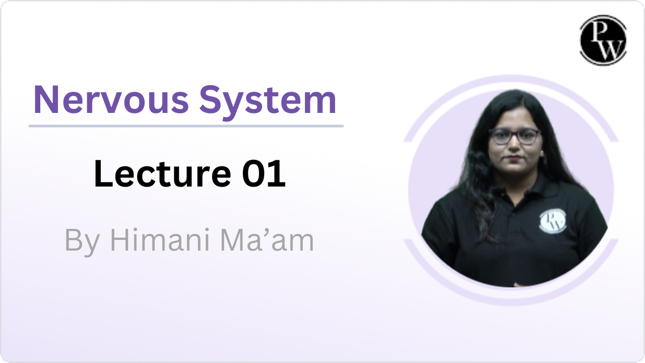Nervous System 01 
