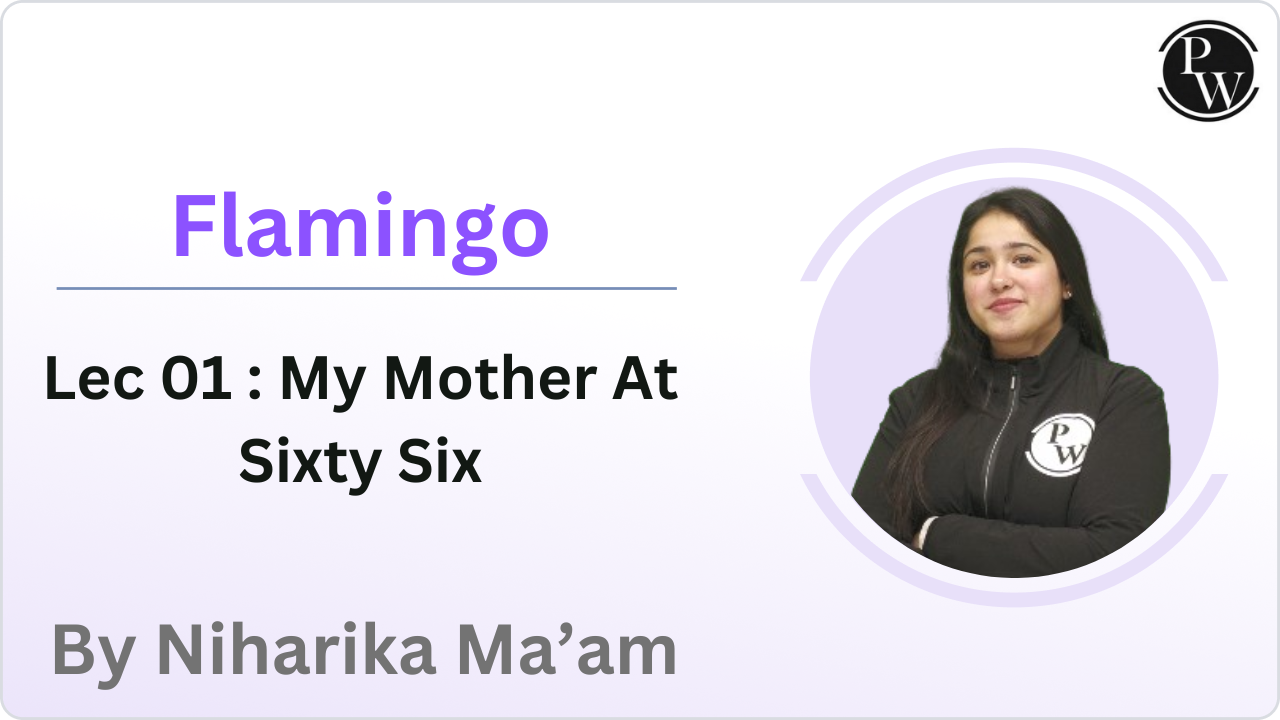 Flamingo 01 : My Mother At Sixty Six 