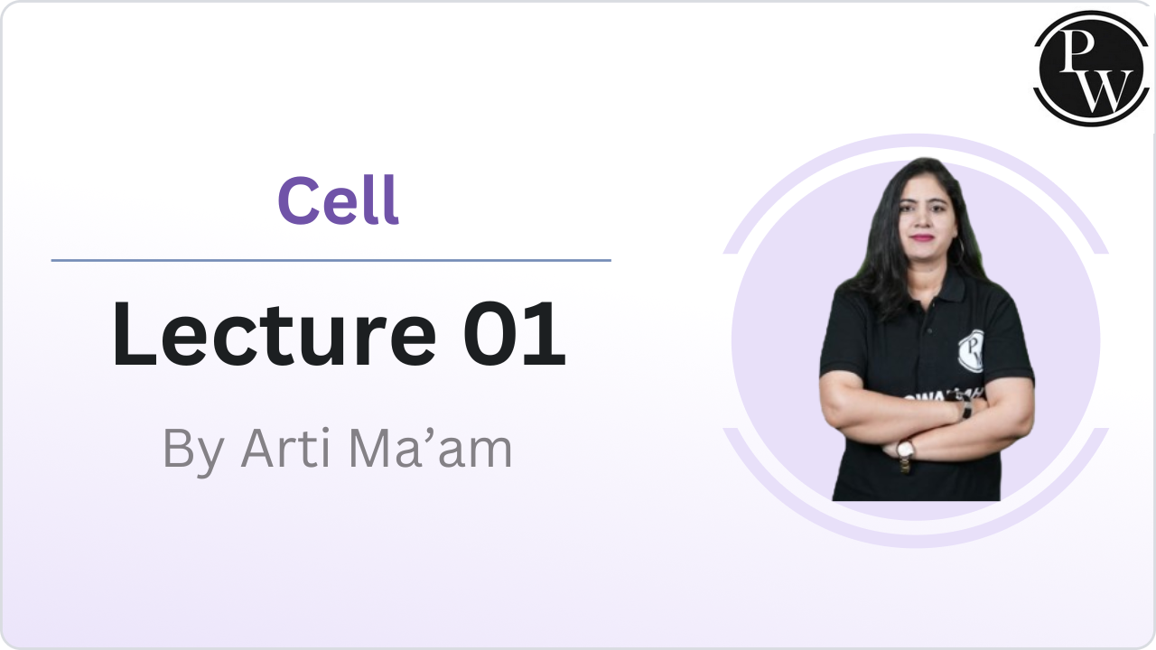 Cell 01 