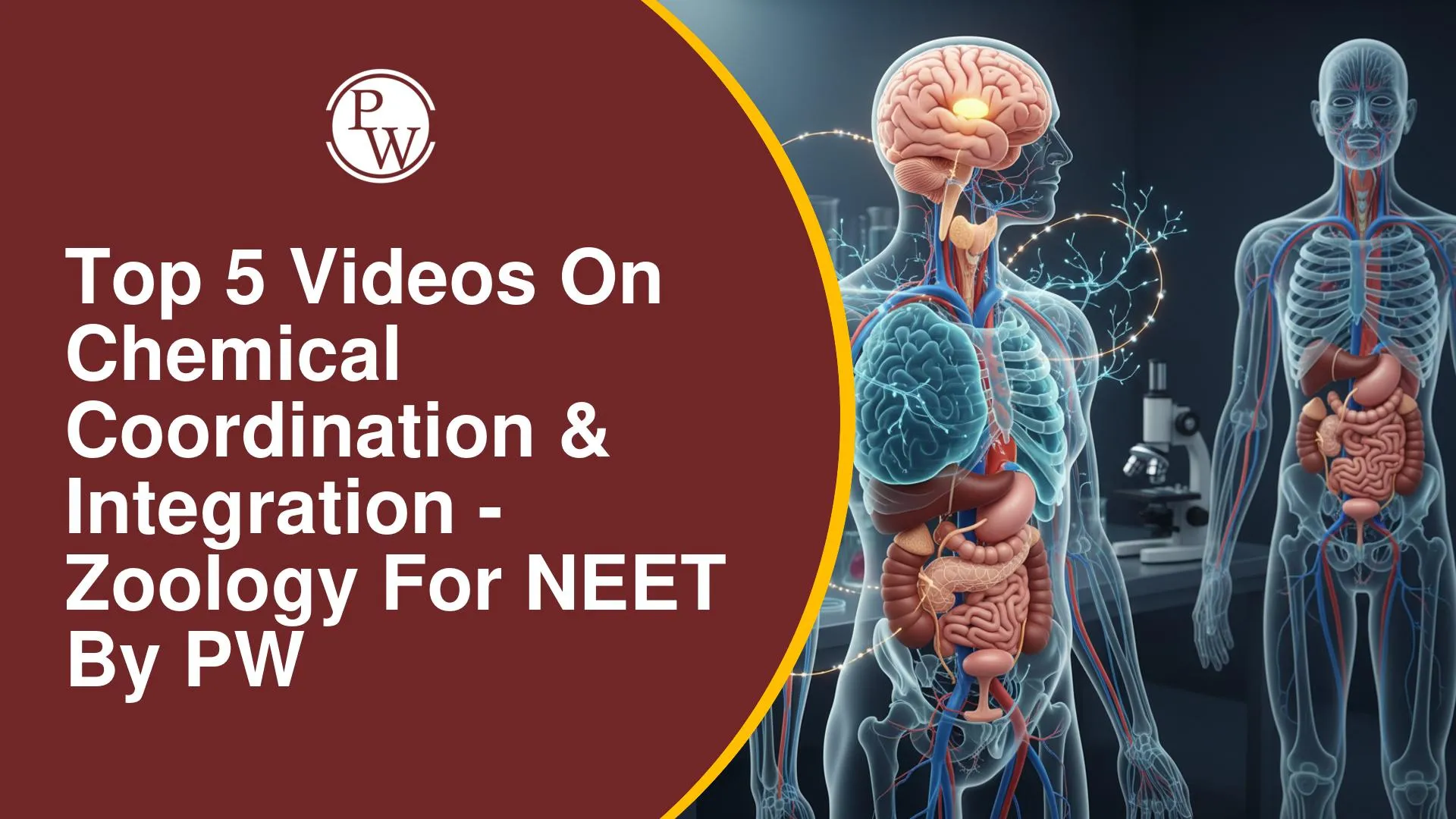 Top 5 Videos On Chemical Coordination & Integration