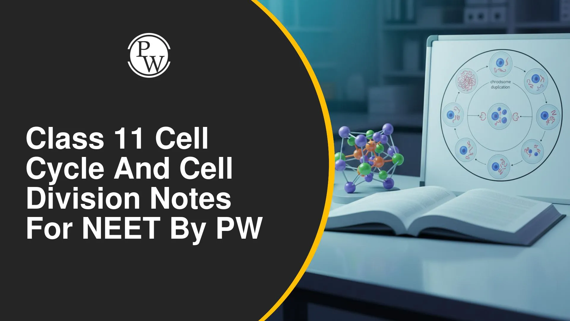 Class 11 Cell Cycle And Cell Division Notes for NEET by PW