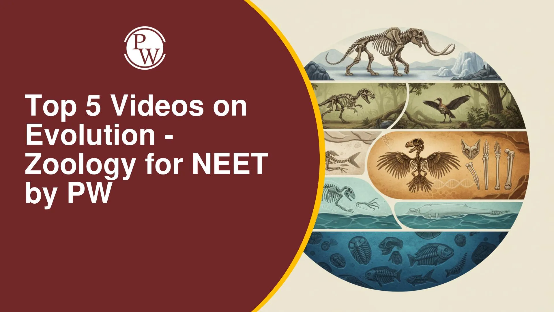 Top 5 Videos On Evolution - Zoology For NEET By PW