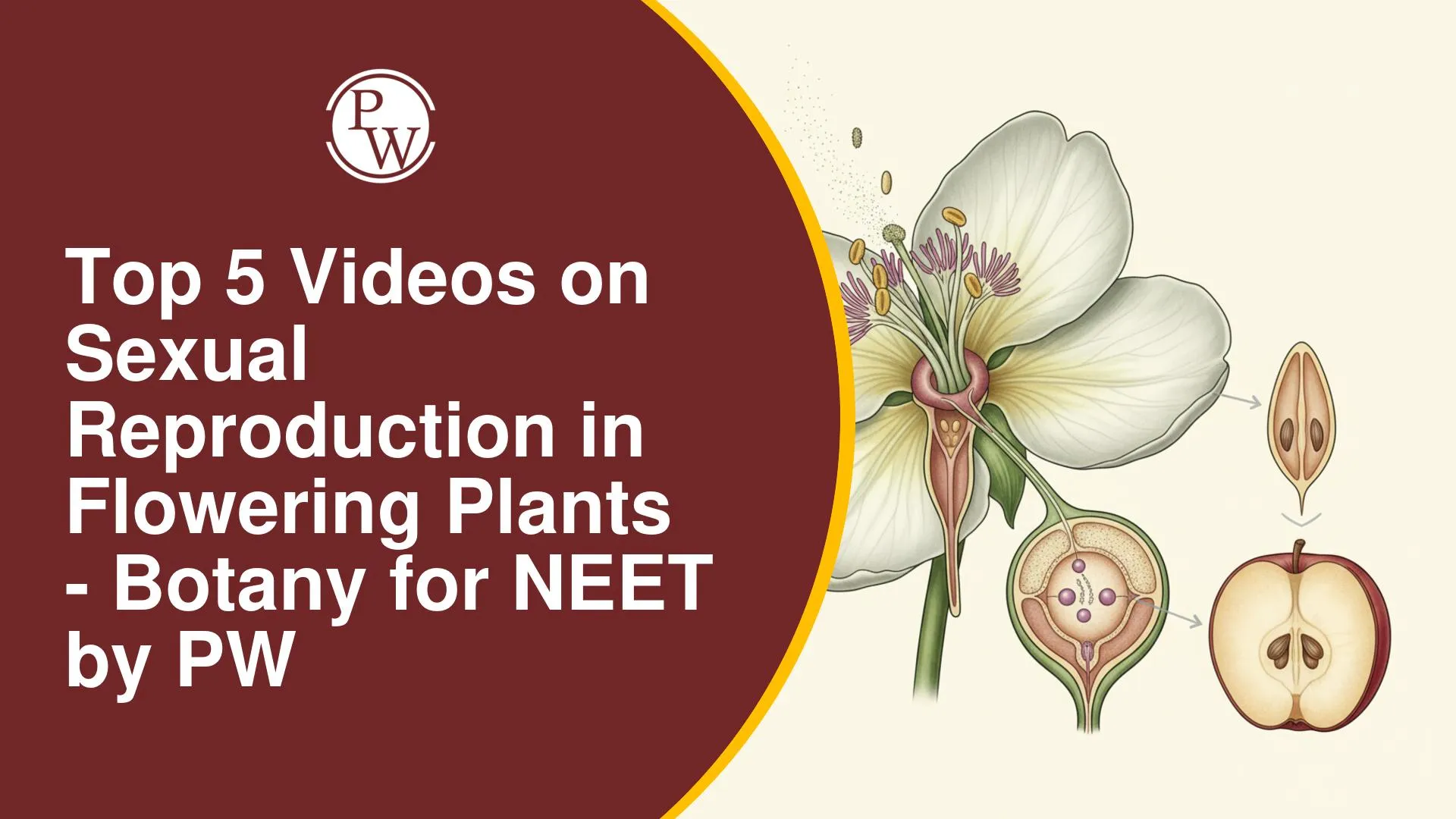 Top 5 Videos on Sexual Reproduction in Flowering Plants for NEET Botany by PW