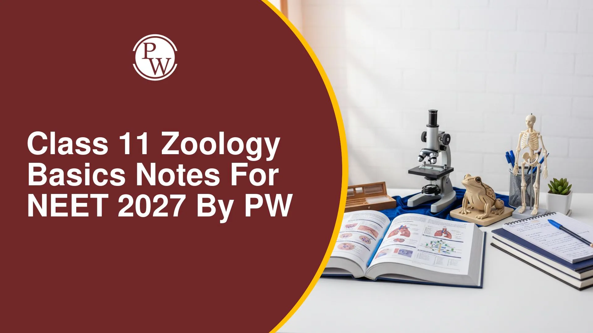 Class 11 Zoology Basics Notes for NEET 2027 by PW