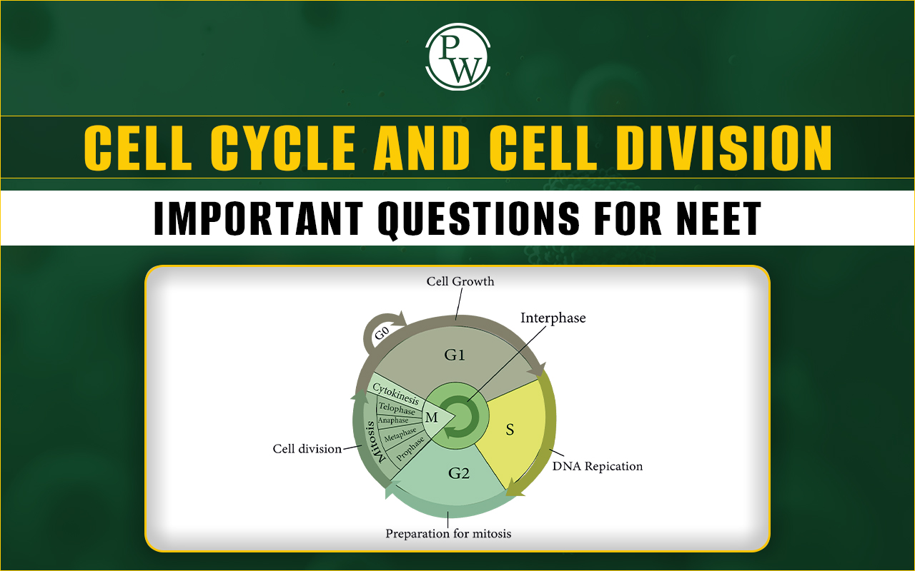 Cell Cycle and Cell Division Important Questions for NEET 2025