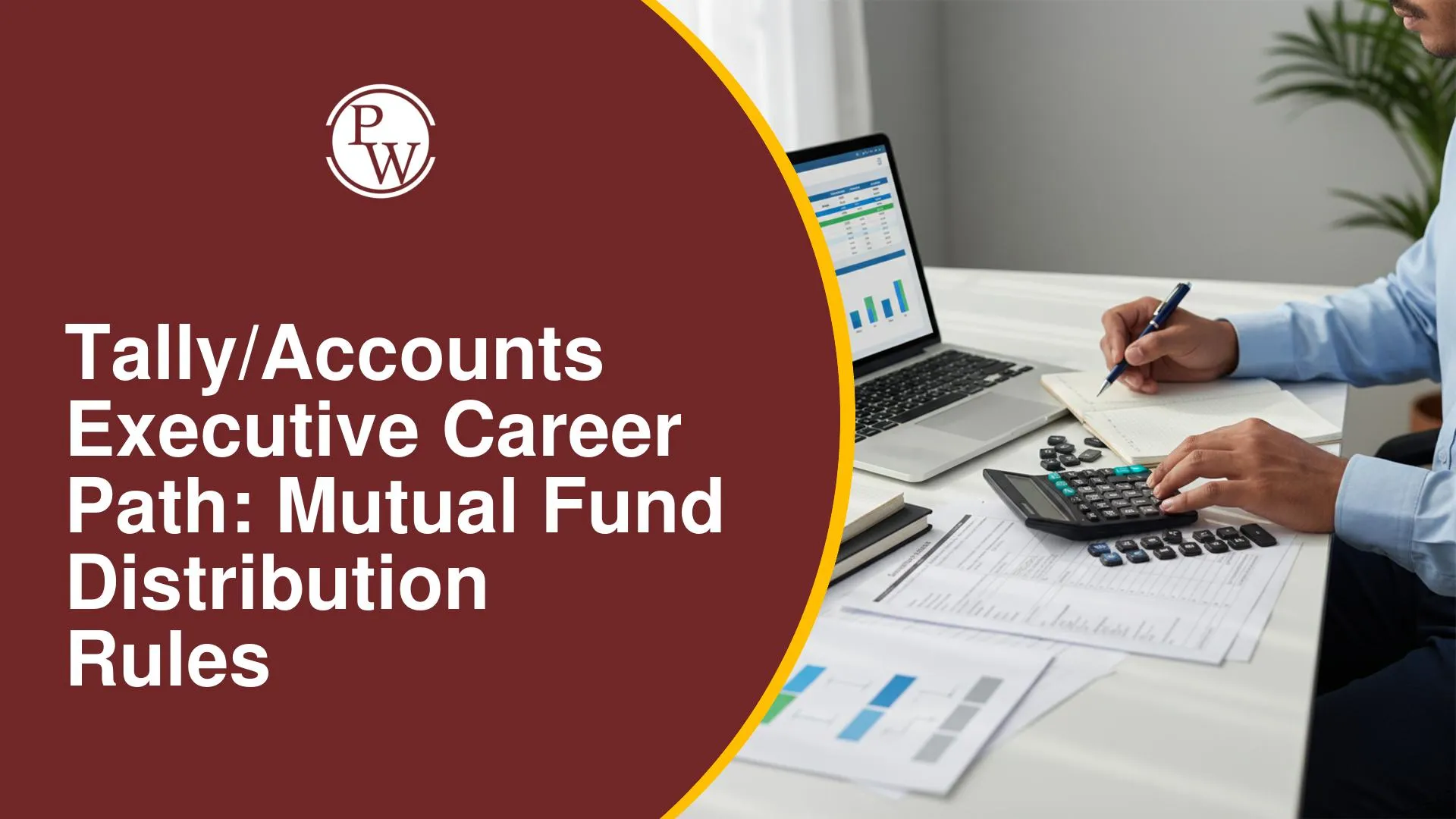 Tally/Accounts Executive Career Path