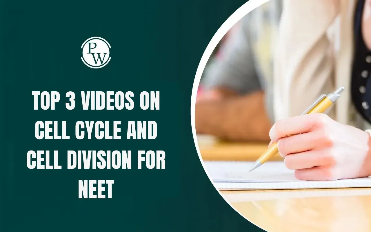 Top 3 Videos on Cell Cycle and Cell Division for NEET