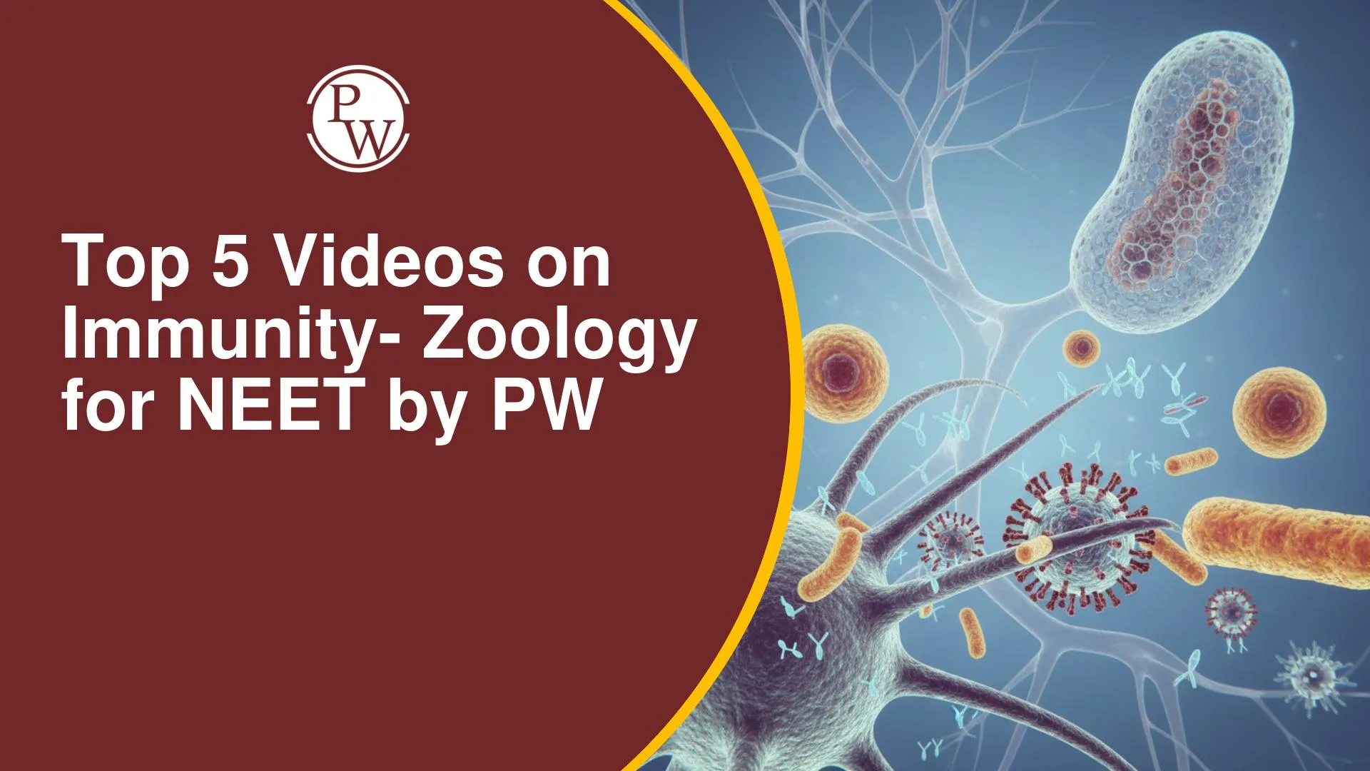 Top 5 Videos On Immunity - Zoology For NEET By PW