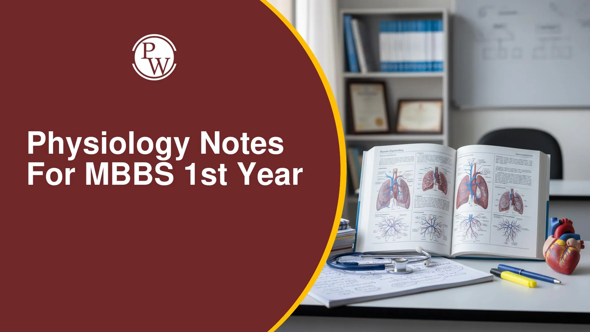 Physiology Notes for MBBS 1st Year: Complete Study Guide