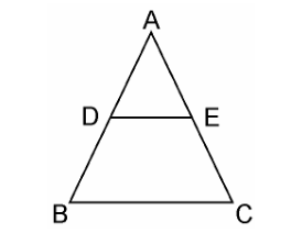 ncert solutions class 10 chapter 6 Ncert solutions class 10 chapter 6-11
