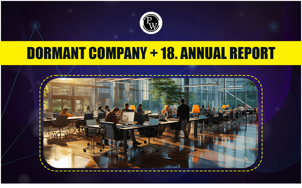 What is Dormant Company and Annual Report?