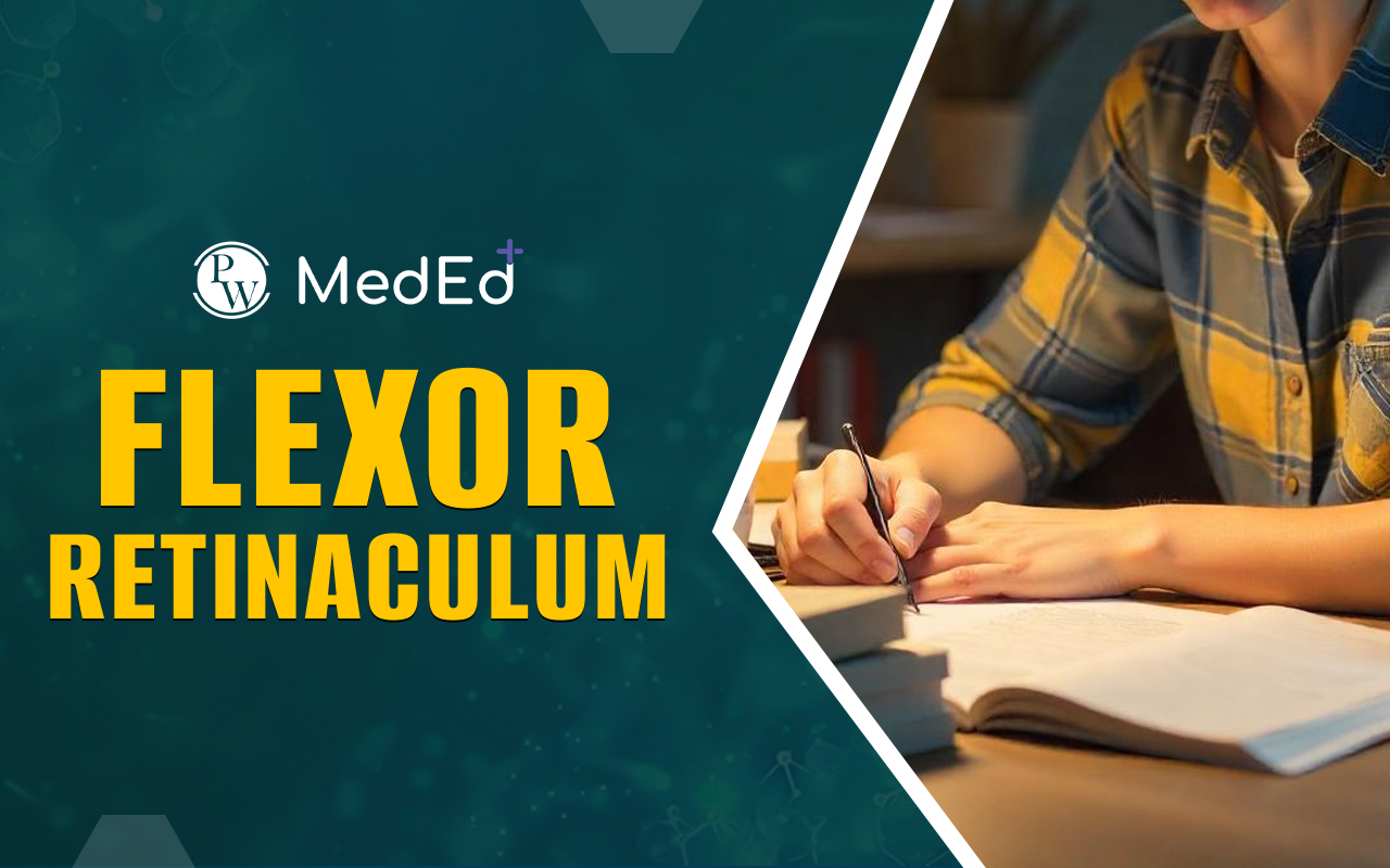 Flexor Retinaculum, Anatomy, Shoulder and Upper Limb