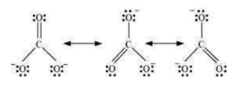 NCERT Solutions for Class 11
