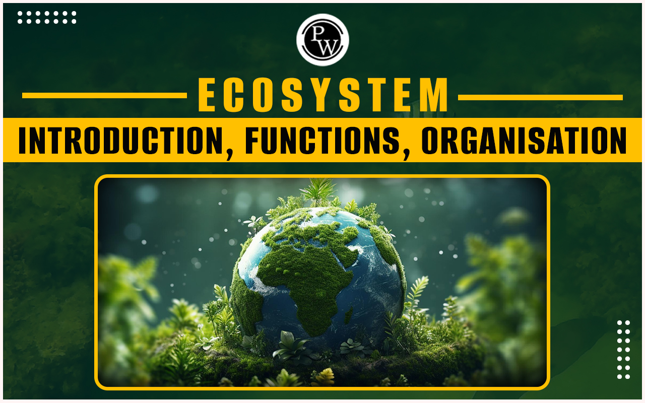 Ecosystem