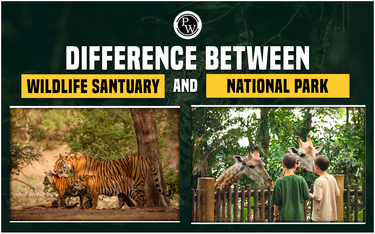 Difference Between Wildlife Sanctuary And National Park