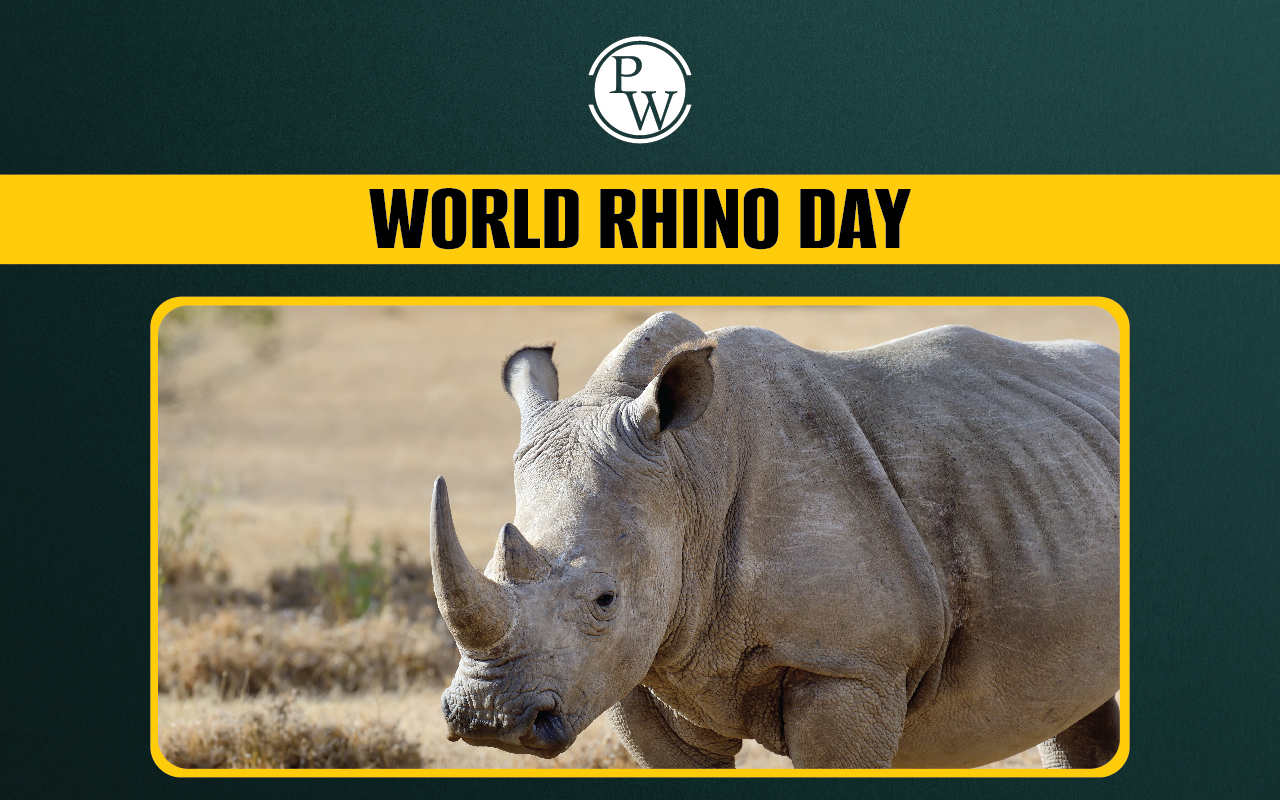World Rhino Day 2024