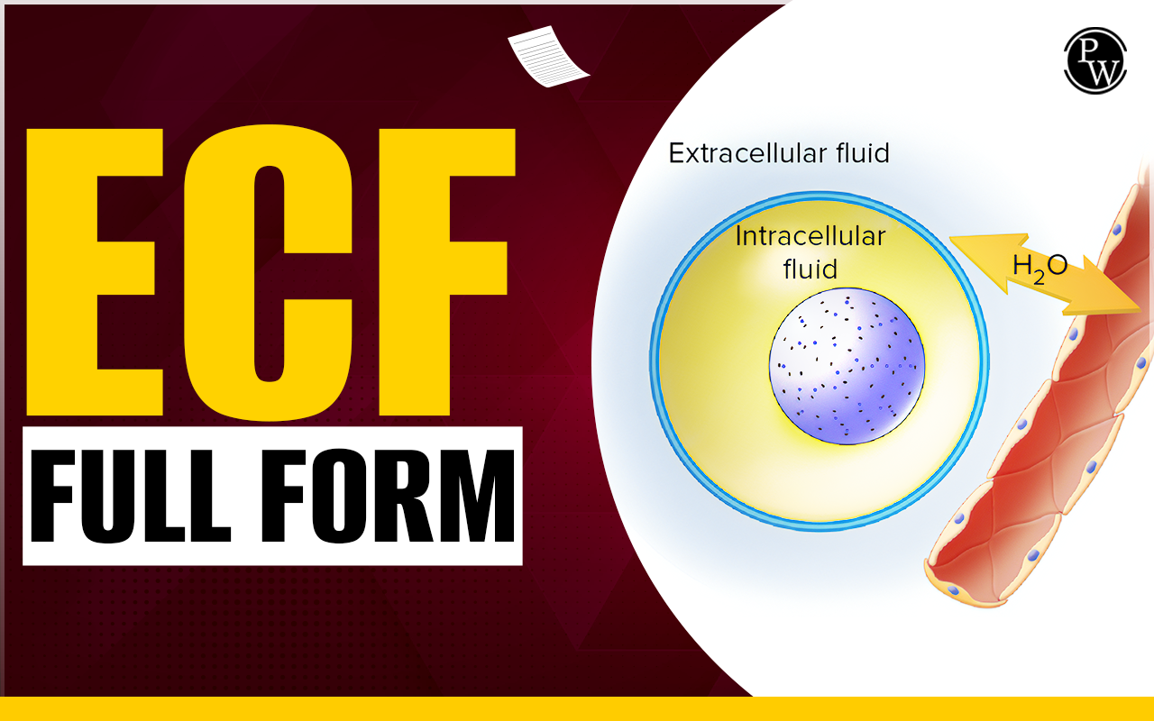 ECF Full Form
