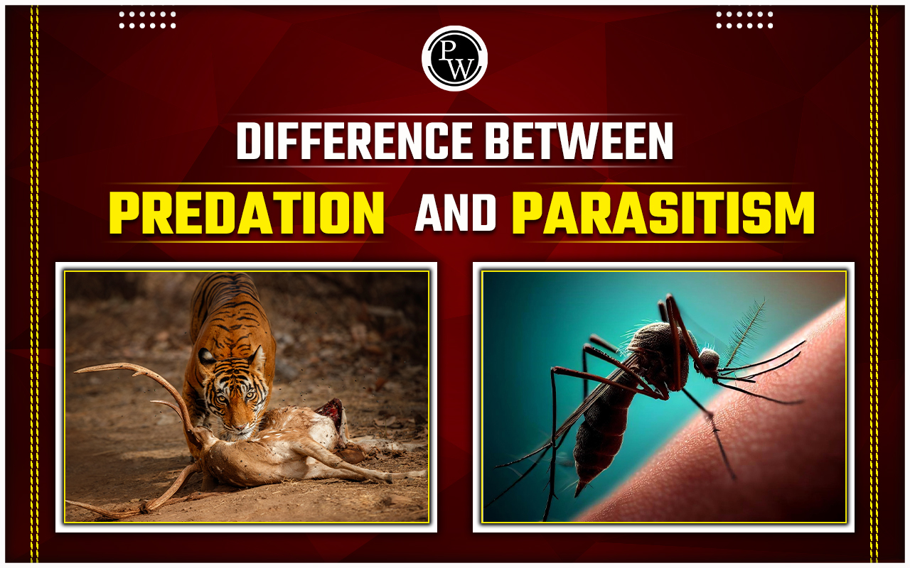 Difference Between Predation and Parasitism