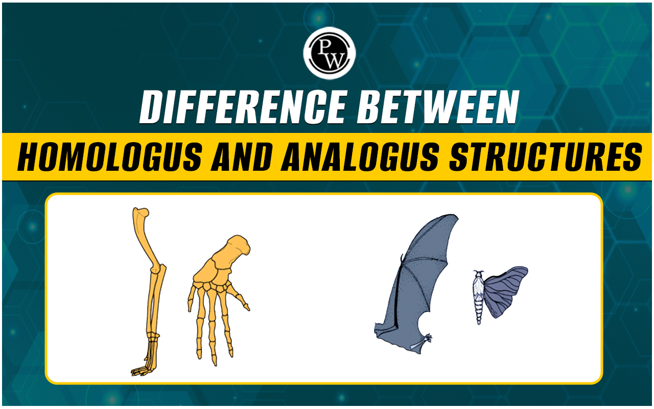 Difference Between Homologous And Analogous Structures