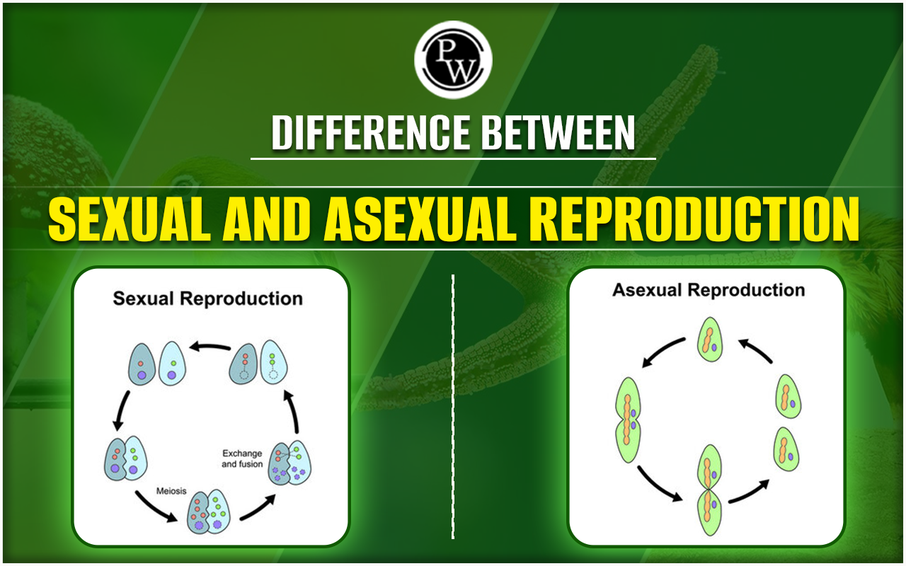 Difference between Sexual and Asexual Reproduction