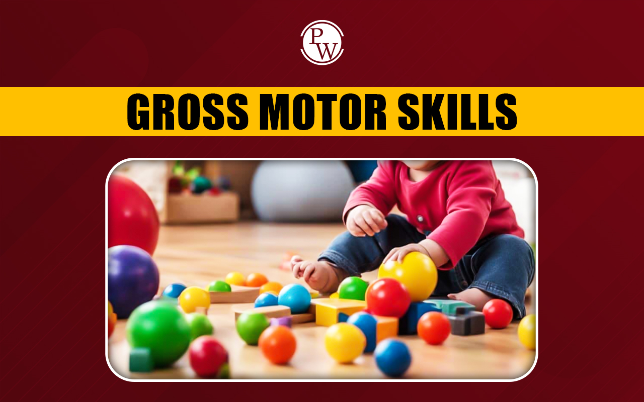 Gross Motor Skills