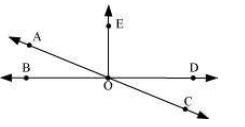 NCERT solutions for class 7 maths line and angles Exercise 5.1
