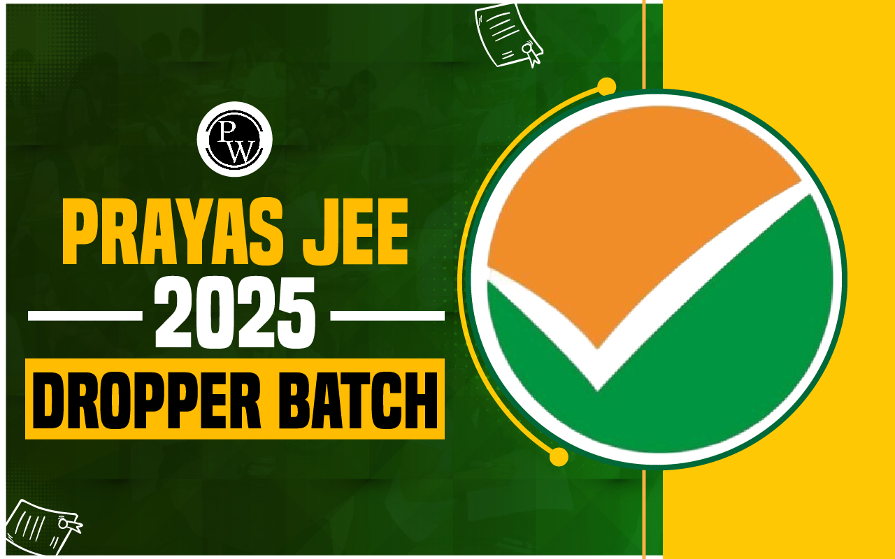 Prayas JEE 2025 Dropper Batch