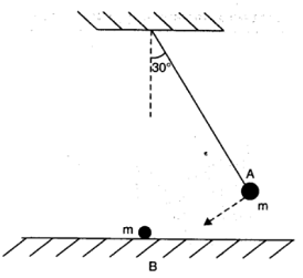 NCERT Solutions for Class 11 Physics Chapter 6 - Work, Energy And Power 