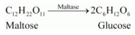 NCERT Solutions for Class 12  Chemistry Chapter 14 - Biomolecules