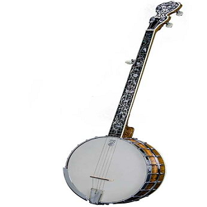 Banjo Musical Instruments Name