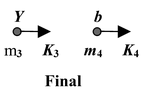 Atomic Nucleus
