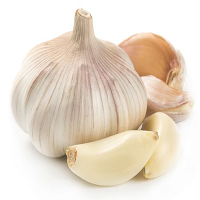 Garlic Spices Names